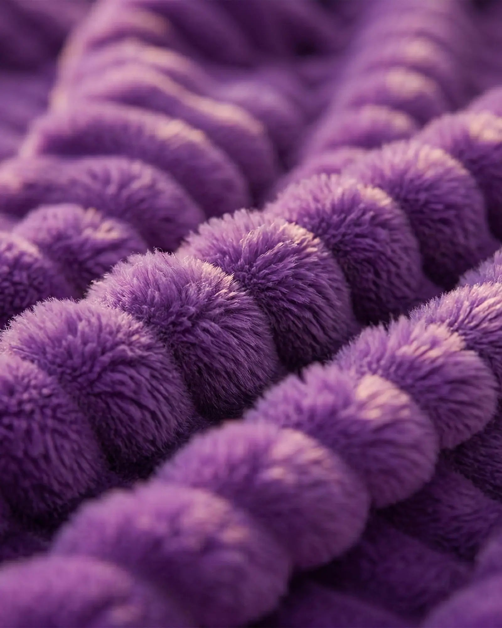 Limited Edition: Royal Purple