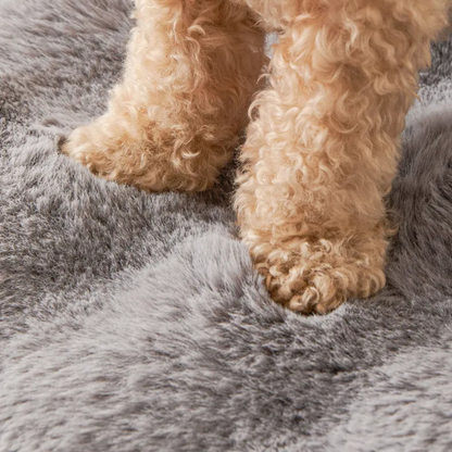 The Fleece Pet Lounge