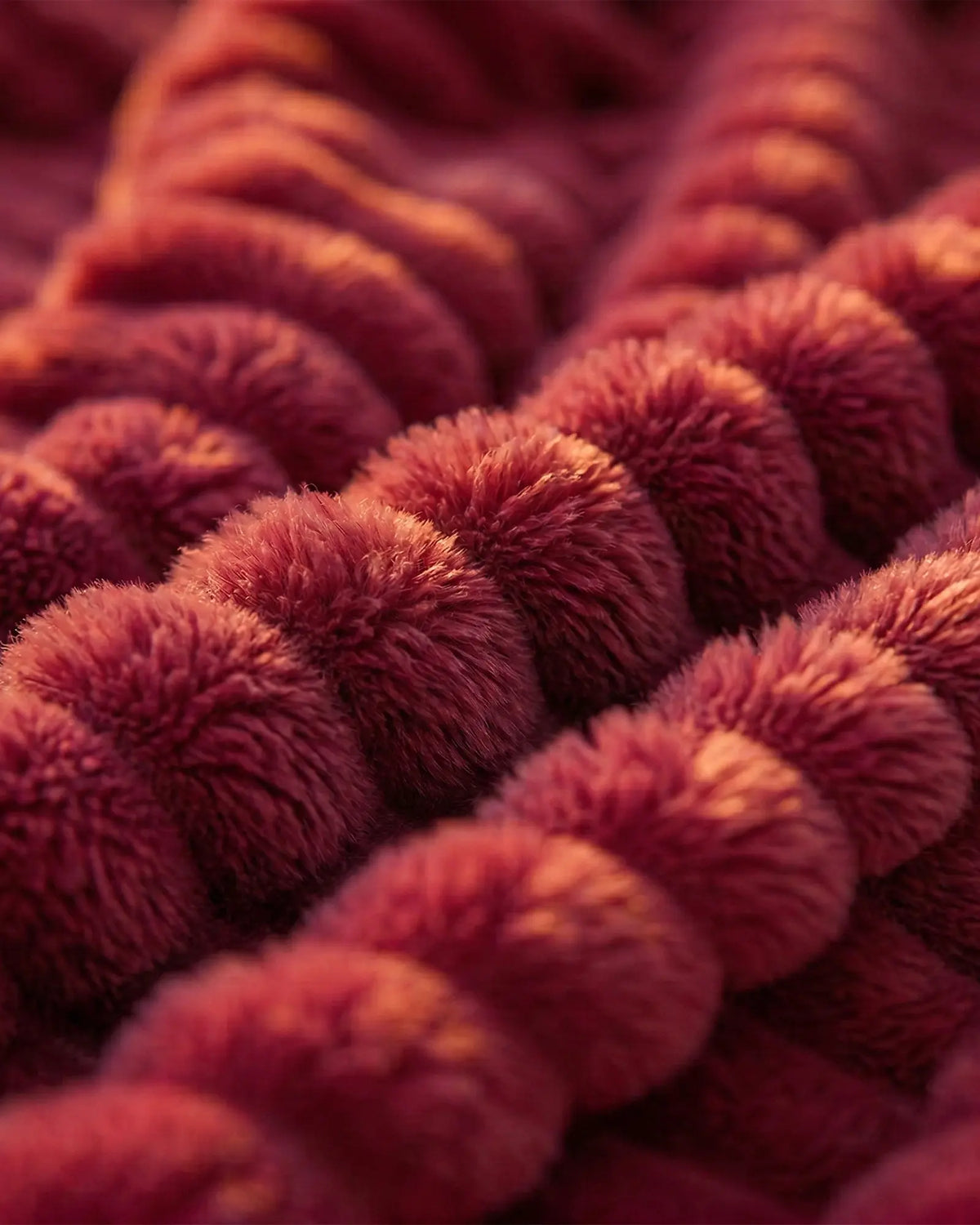 Limited Edition: Wine Red